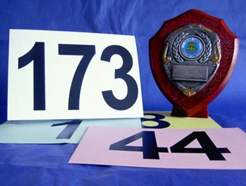 Sporting sports competitor - sporting,