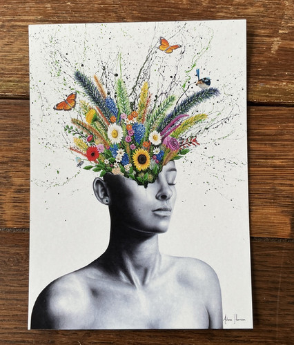 Ashvin harrison eternal - ashvin,